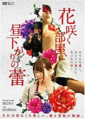 落日余晖 小小影视官网新片